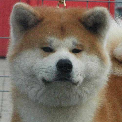 Taiho